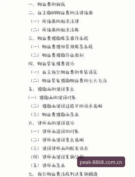 掌握世界杯观赛签证难题的实用应对指南
